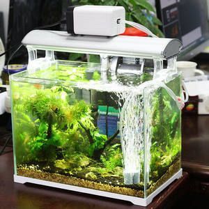 魚缸打氧機不出水怎么辦（打氧機進水管堵塞如何清理魚缸水質維護技巧）