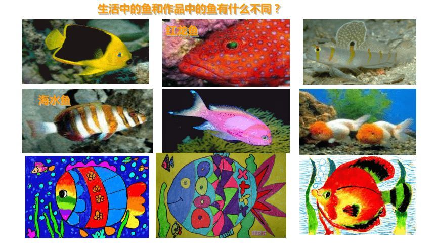 紅龍魚海水魚哪個好養活一些：紅龍魚和海水魚哪個好養活一些