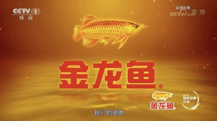 金龍魚魚類的來歷和傳說故事:關(guān)于金龍魚的來歷和傳說故事
