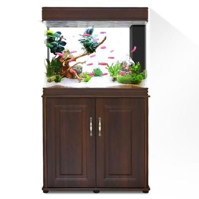 龍魚缸上濾：關于龍魚缸上濾系統的詳細信息