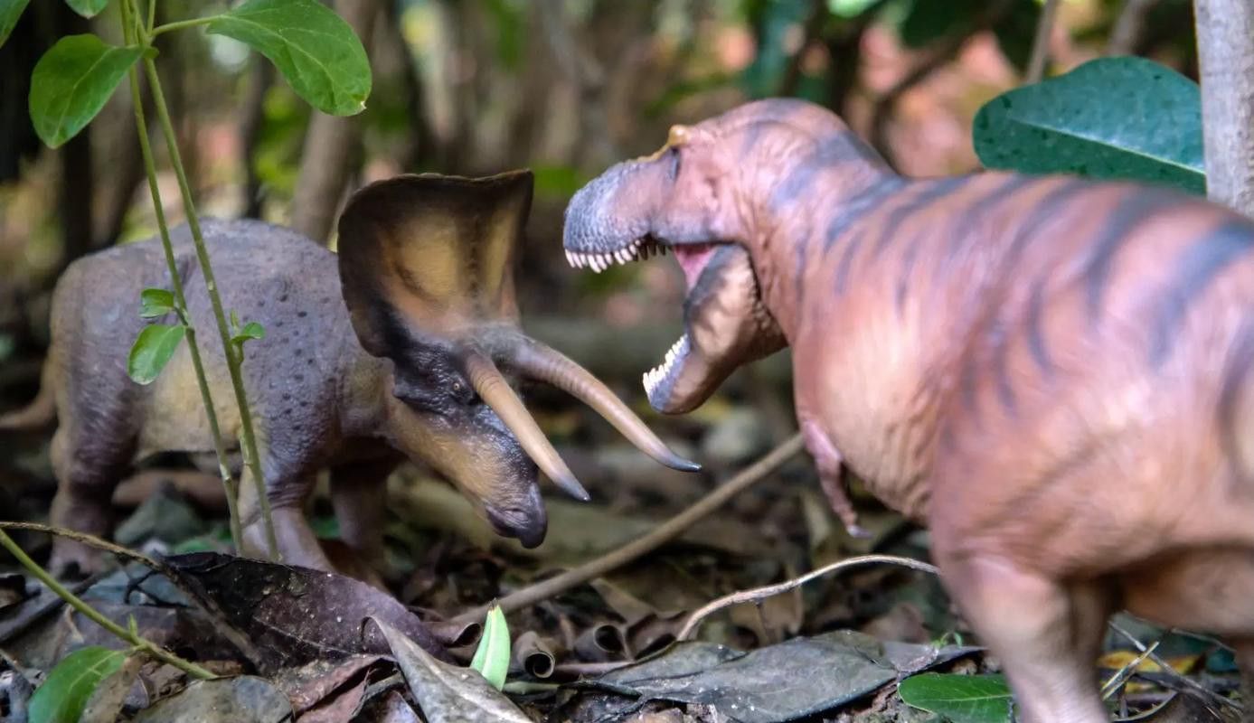 如何下載和使用這些霸王龍圖片？