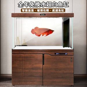 養龍魚的魚缸用白底還是黑底好看些：養龍魚的魚缸底色選擇一直是魚友們討論的話題