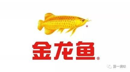 金龍魚業務代表（上海金龍魚業務代表）