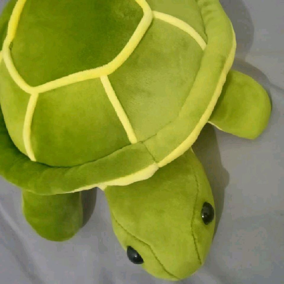 龍魚不開口的最佳方法