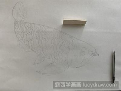 龍魚(yú)吃什么上色快一點(diǎn)：如何判斷龍魚(yú)飼料質(zhì)量，龍魚(yú)上色的自然食物來(lái)源