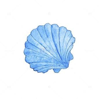 龍魚背景圖片大全大圖可愛卡通