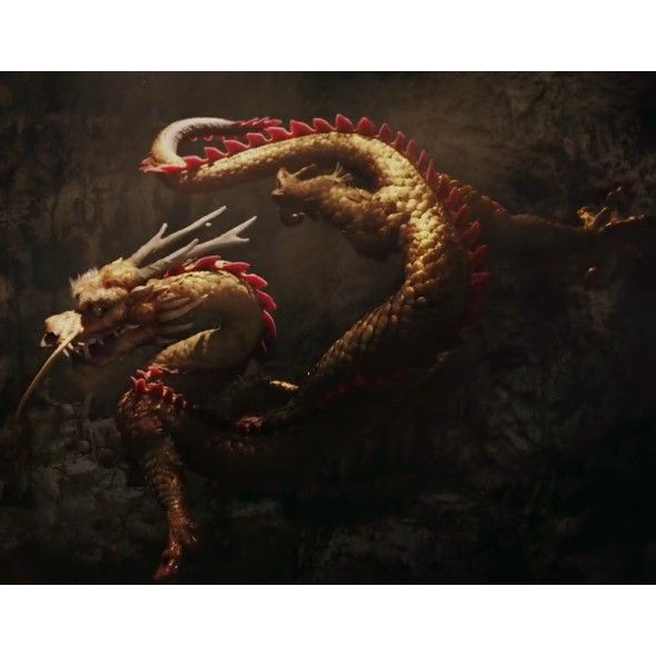 金龍魚為什么不像傳說中的龍？