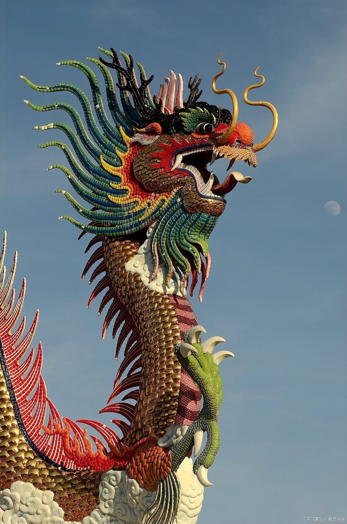 金龍魚為什么不像傳說中的龍？