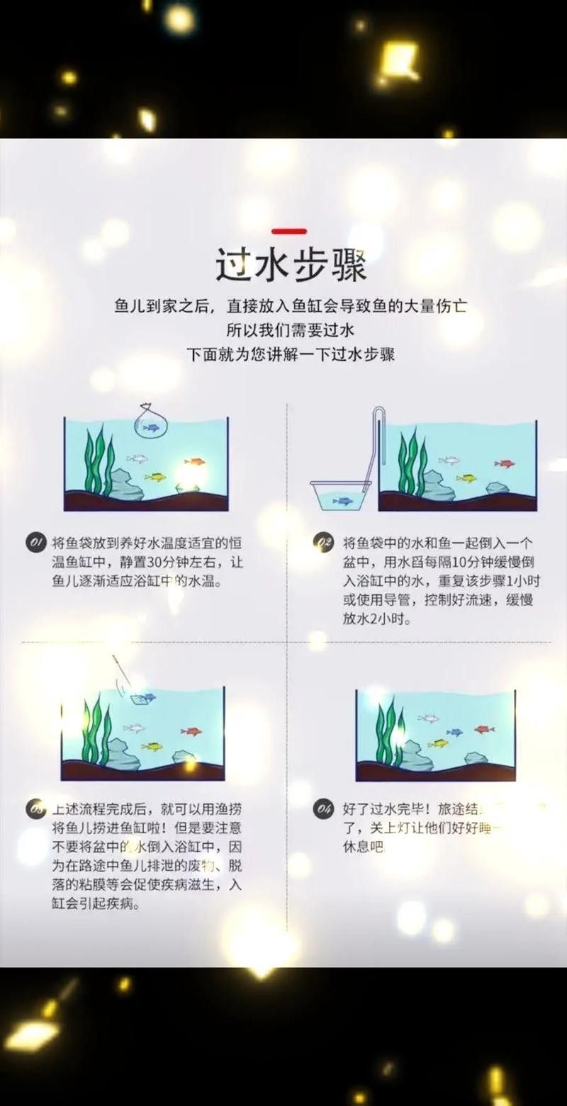新手養錦鯉需要注意什么？