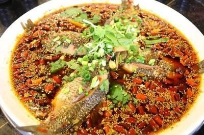 金龍魚肉的做法：幾種常見的金龍魚肉做法，適合快速做出美味的金龍魚肉 金龍魚肉的做法：幾種常見的金龍魚肉做法，適合快速做出美味的金龍魚肉 龍魚百科 第2張