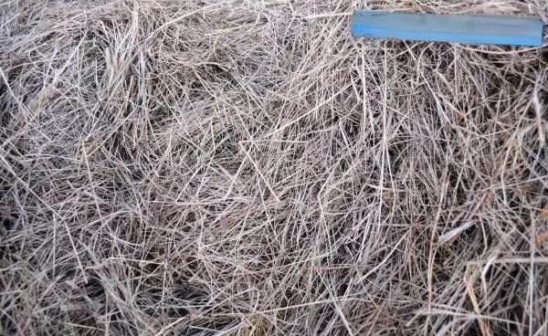 龍貓籠子清洗時需要注意什么？