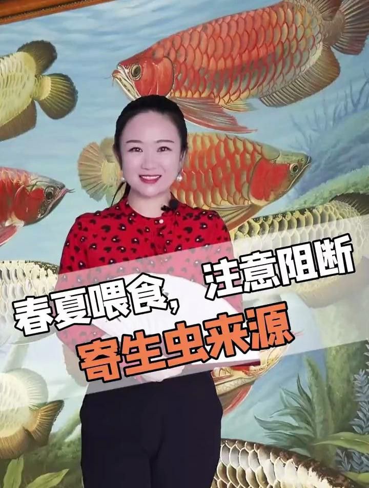 如何預防龍魚感染內寄生蟲？