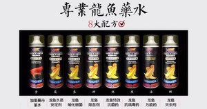 金龍魚凹眼怎么治：金龍魚凹眼怎么辦