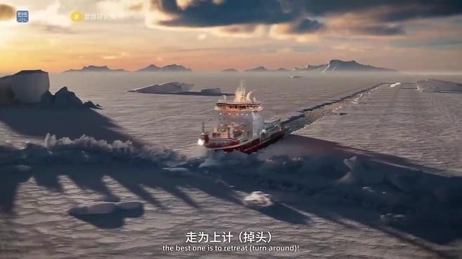 雪龍和銀帶雪龍哪個(gè)更稀有？