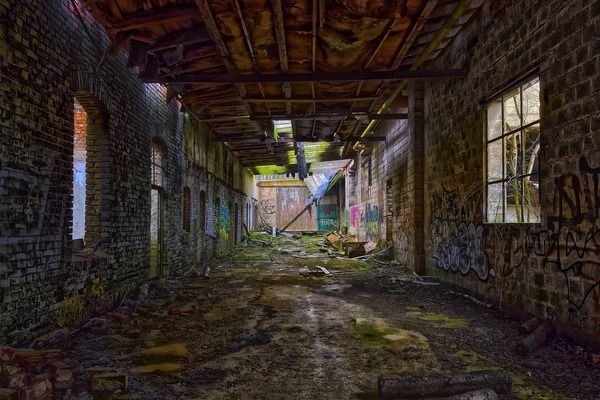 石家莊龍魚祥龍魚場在哪里（石家莊龍魚祥龍魚場位置）