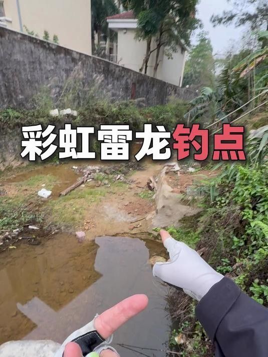 雷龍魚的最佳垂釣方法是什么