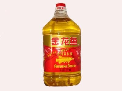 金龍魚去哪里買比較劃算：廣州芳村花鳥魚蟲市場購買金龍魚可以考慮以下幾個地方