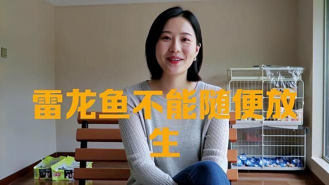 雷龍魚放生