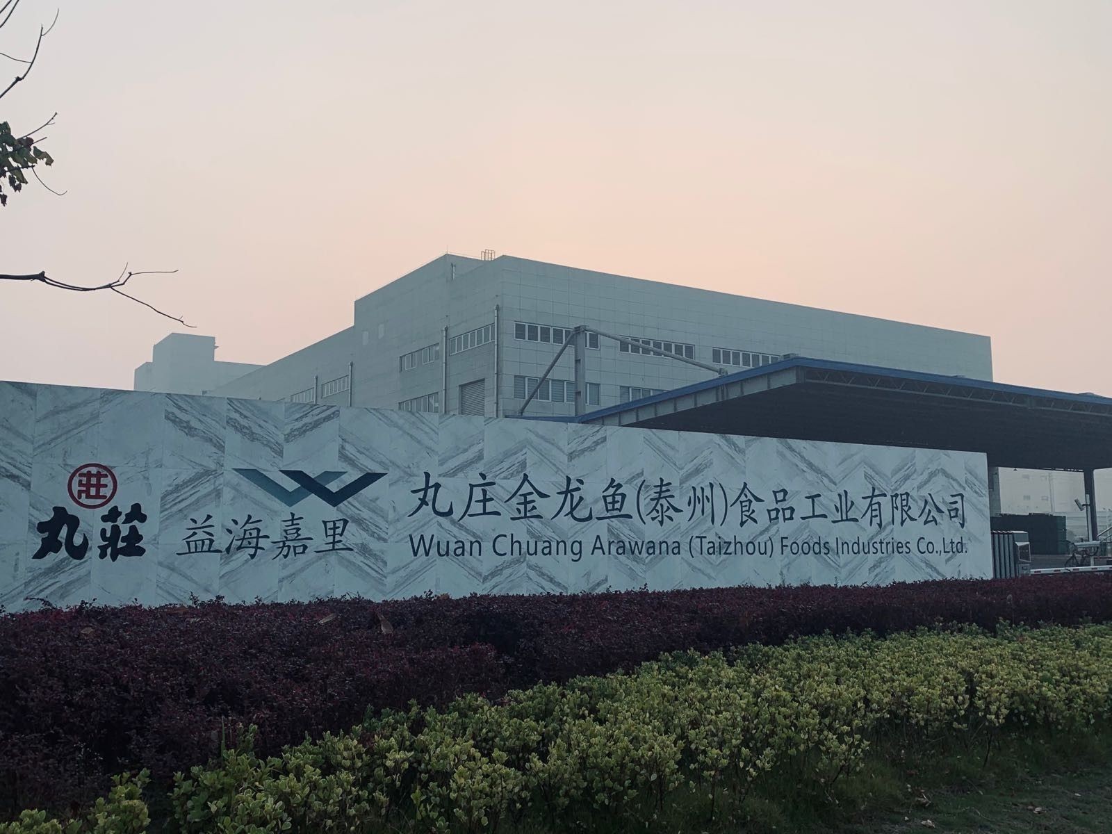 高港永安金龍魚公司