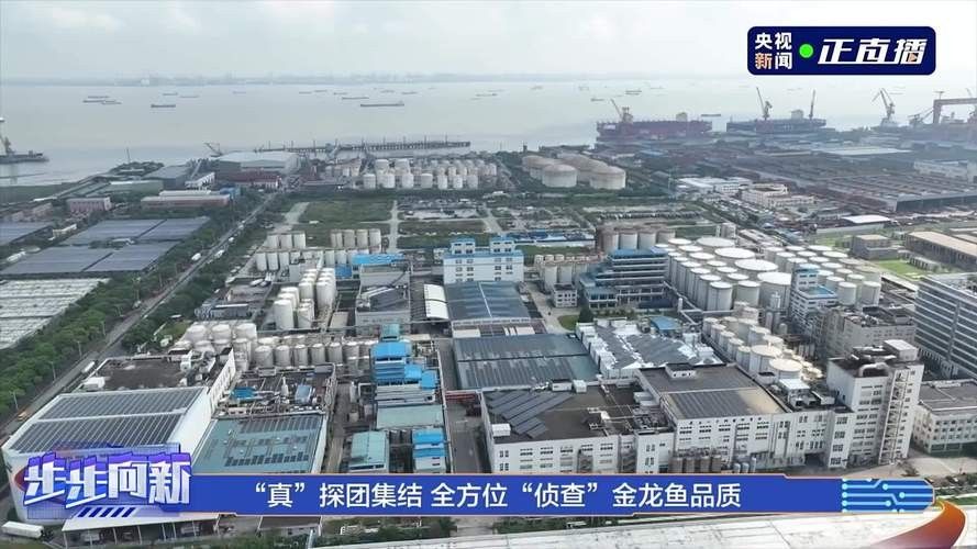 高港永安金龍魚公司