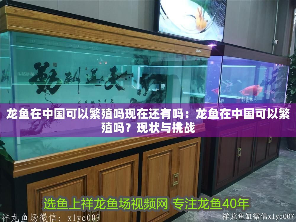 龍魚在中國可以繁殖嗎現在還有嗎：龍魚在中國可以繁殖嗎？現狀與挑戰