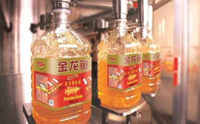 金龍魚經銷商不好干怎么回事呢