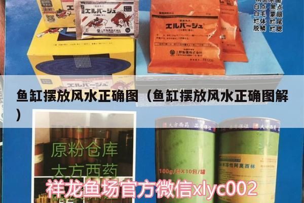 紅龍魚喂什么上色好呢圖片大全（紅龍魚喂什么上色好呢圖片大全視頻）