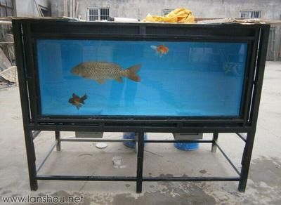 龍魚開缸步驟：養(yǎng)龍魚之前，需要準備一個已經(jīng)養(yǎng)好水的魚缸，這個過程被稱為“開缸”