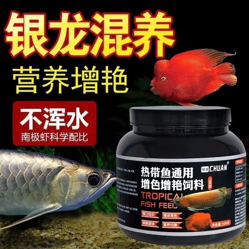 鸚鵡魚和銀龍魚可以混養嗎圖片對比