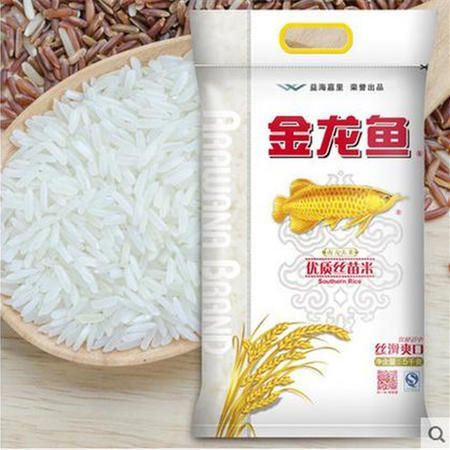 金龍魚的絲苗米怎么樣：金龍魚絲苗米怎么樣？