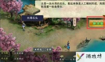 濡沫江湖銀龍魚怎么獲得（《濡沫江湖》銀龍魚可以通過特定的交易方式獲得）