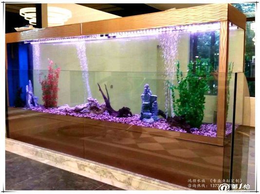 龍魚缸里放沉木可以嗎：如何在龍魚缸中放置沉木