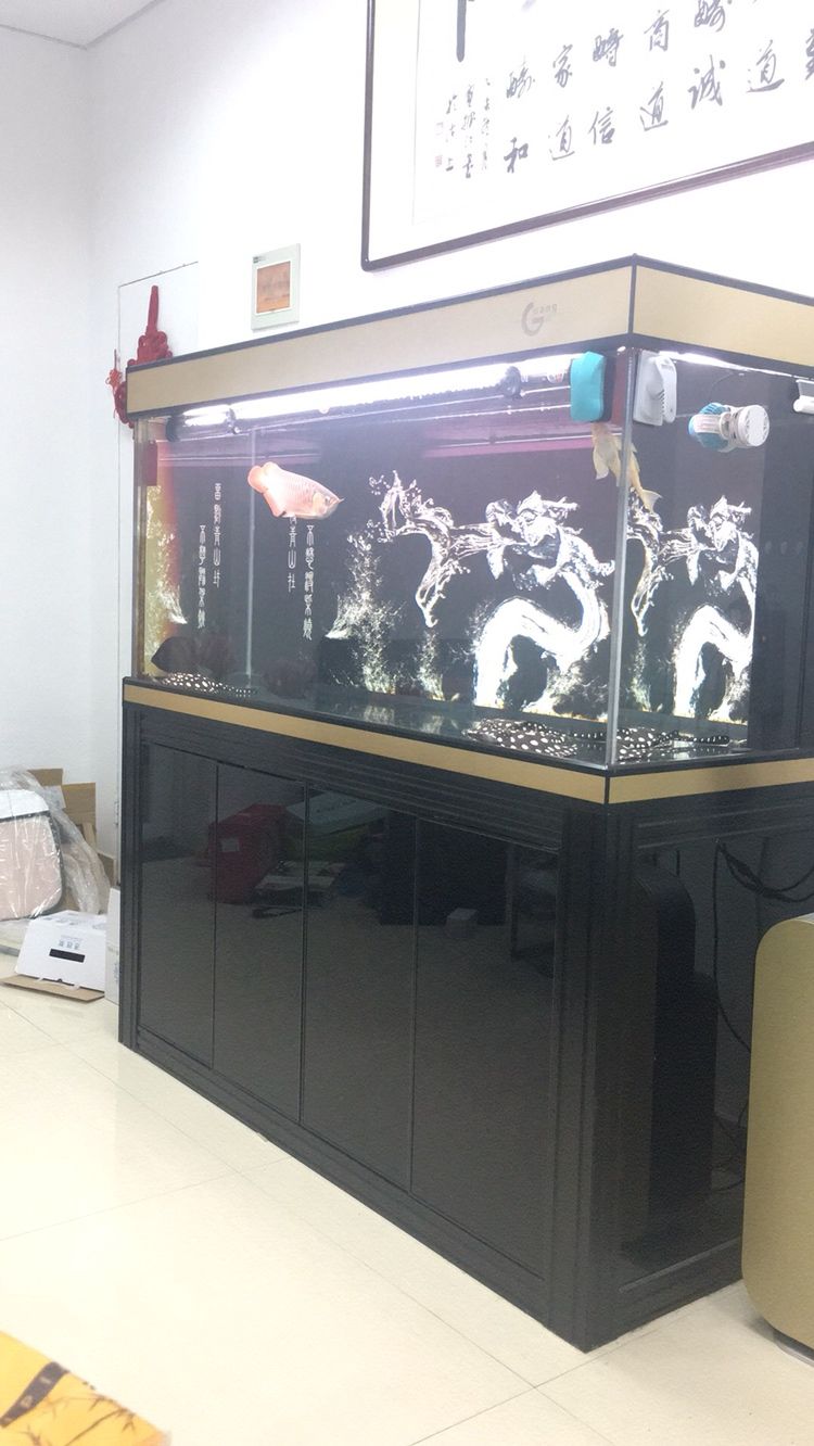 清+水清魚靚