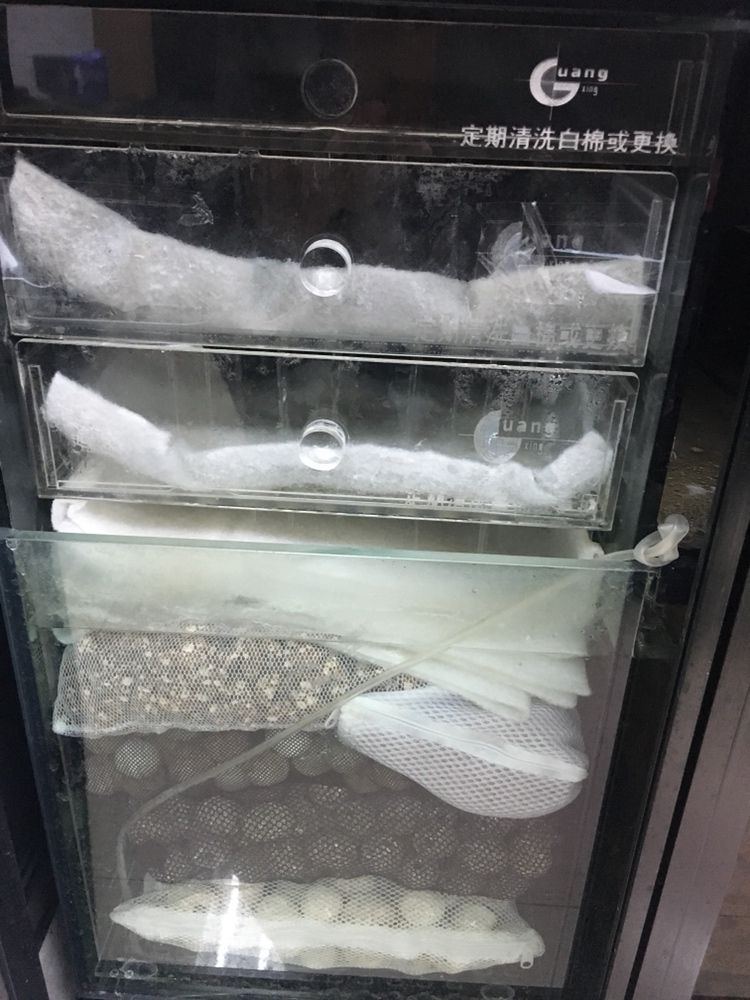清+水清魚靚