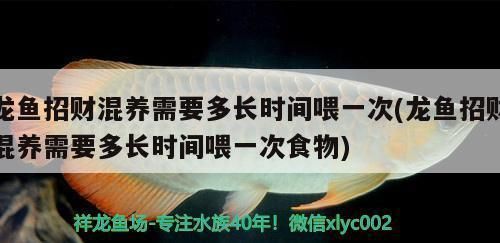 龍魚招財(cái)混養(yǎng)需要多長時(shí)間喂一次：龍魚招財(cái)混養(yǎng)喂食頻率和時(shí)間應(yīng)根據(jù)生長階段、季節(jié)溫度及營養(yǎng)需求