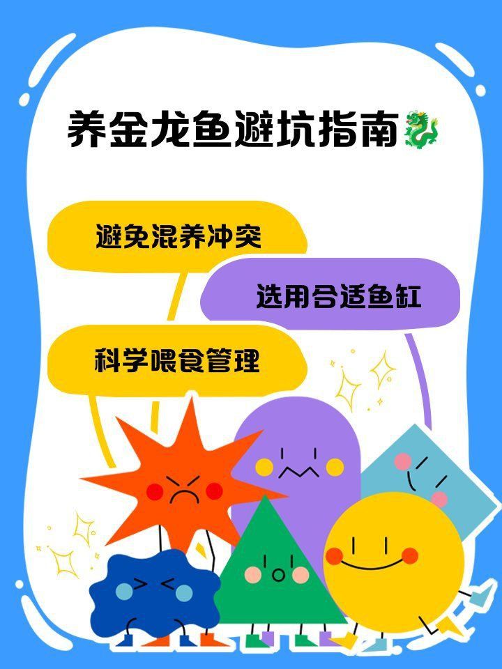 賽級金龍最忌三種食物