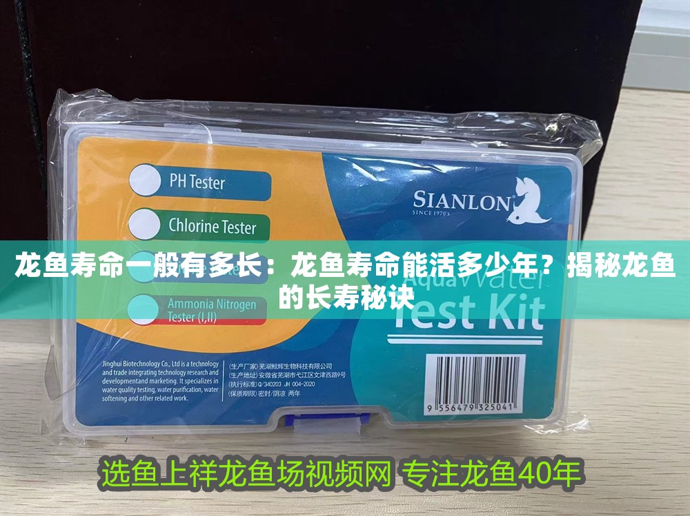 龍魚壽命一般有多長：龍魚壽命能活多少年？揭秘龍魚的長壽秘訣