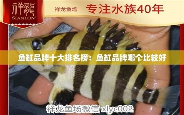 魚缸知名品牌有哪些，2024年魚缸十大品牌排行榜