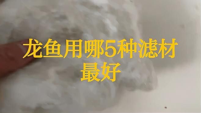 龍魚用什么過濾器材最好用