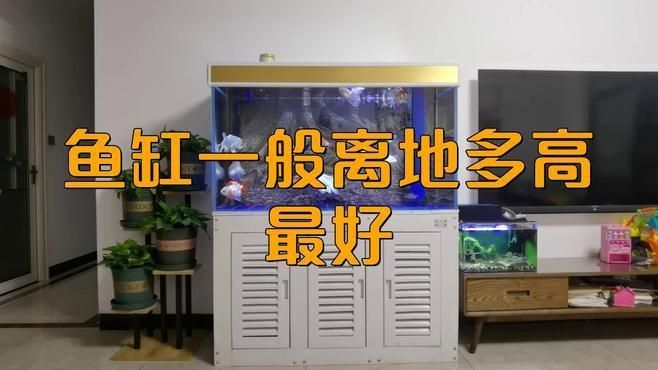 1米5的魚缸放在哪里最安全？