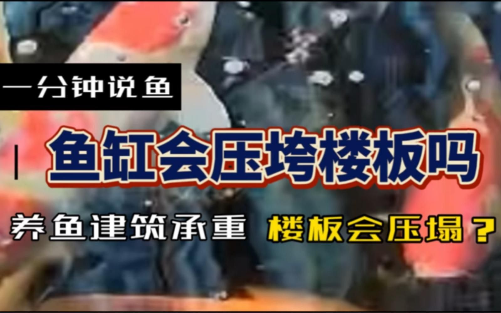 1米5的魚缸放在哪里最安全？
