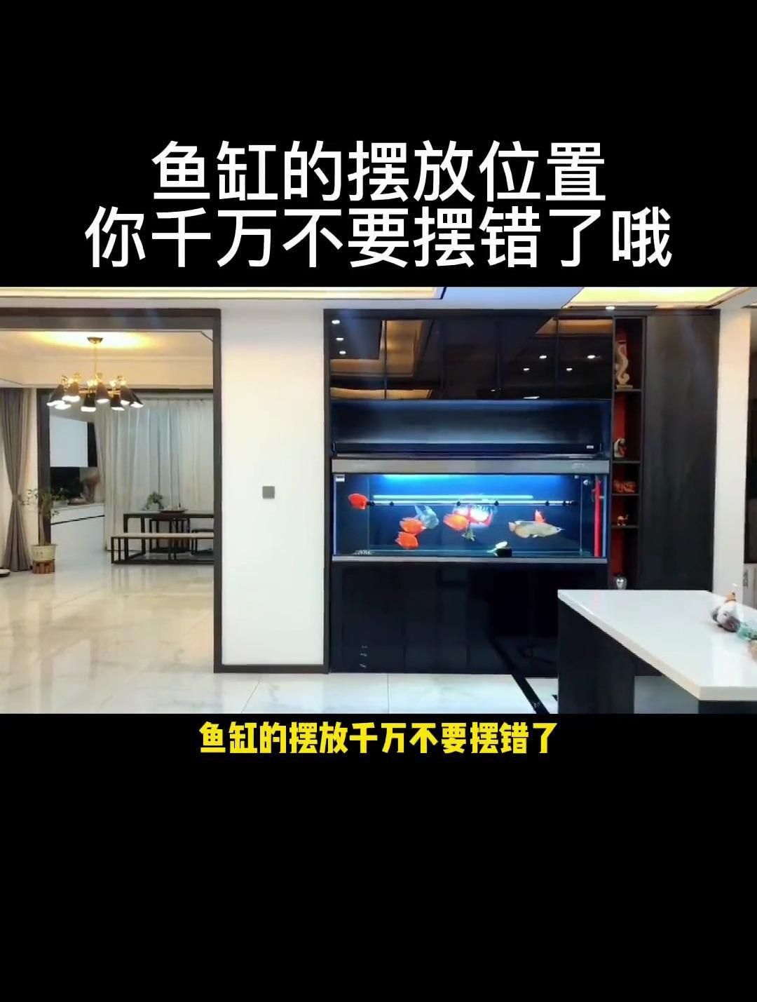 1米5的魚缸放在哪里最安全？