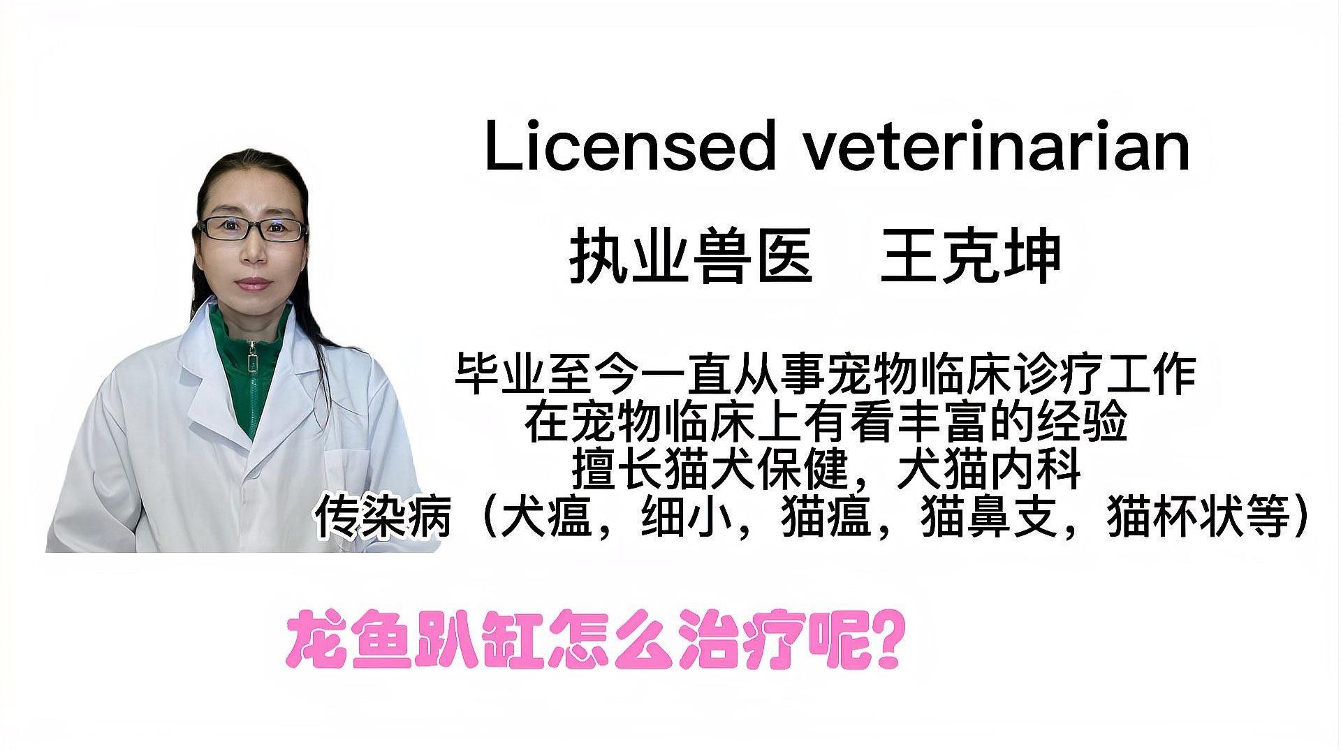 龍魚(yú)一直趴缸怎么辦