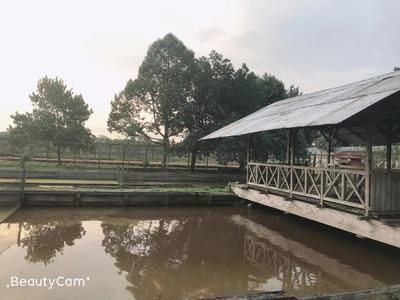印尼大湖漁場產業聯盟（印尼大湖漁場產業聯盟是一個跨國際整合漁場、渠道資源的組織）