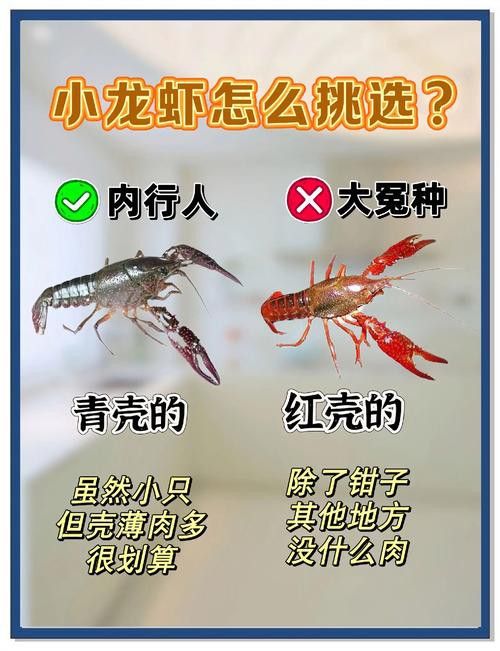 如何判斷小龍蝦是否新鮮？