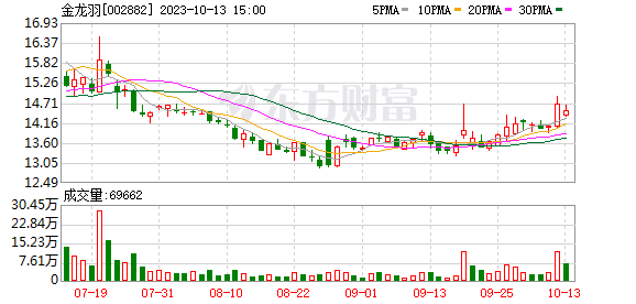 金龍羽觸及漲停板 金龍羽觸及漲停板 龍魚百科 第2張