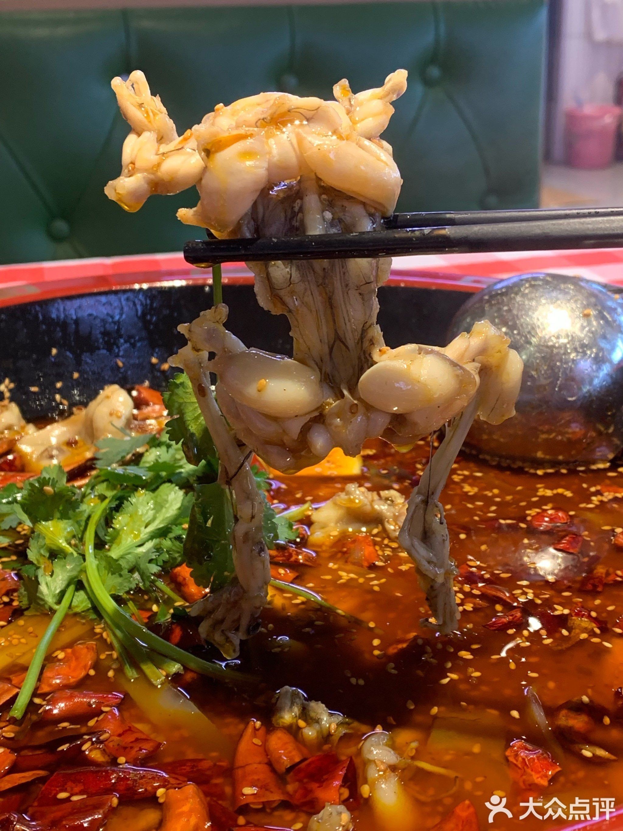 深圳龍魚批發在哪里買好