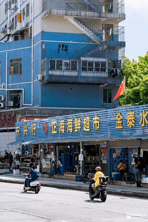 深圳龍魚批發在哪里買好