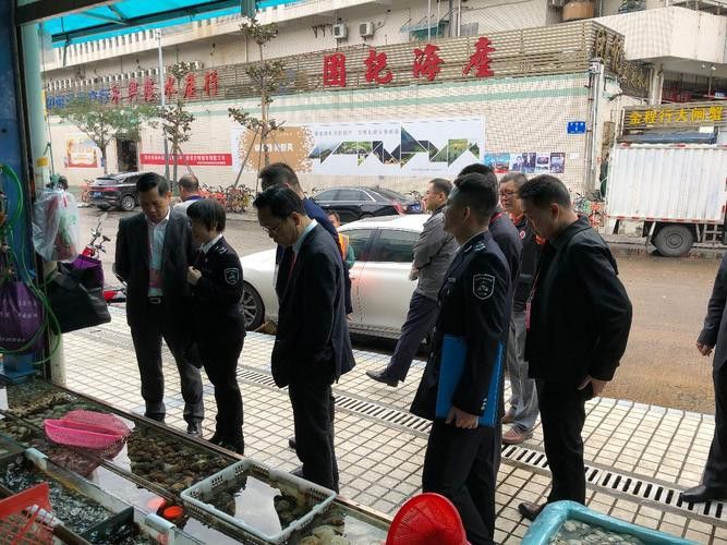 深圳龍魚批發在哪里買好