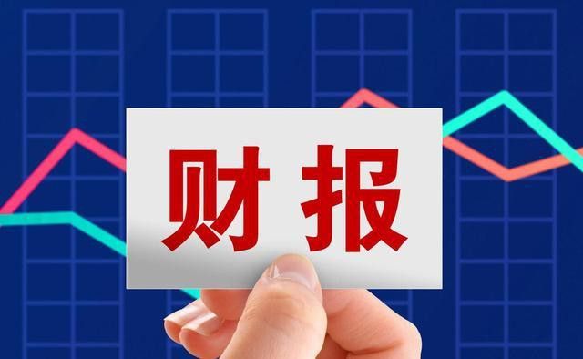 金龍魚如何通過金融手段實現穩定盈利？